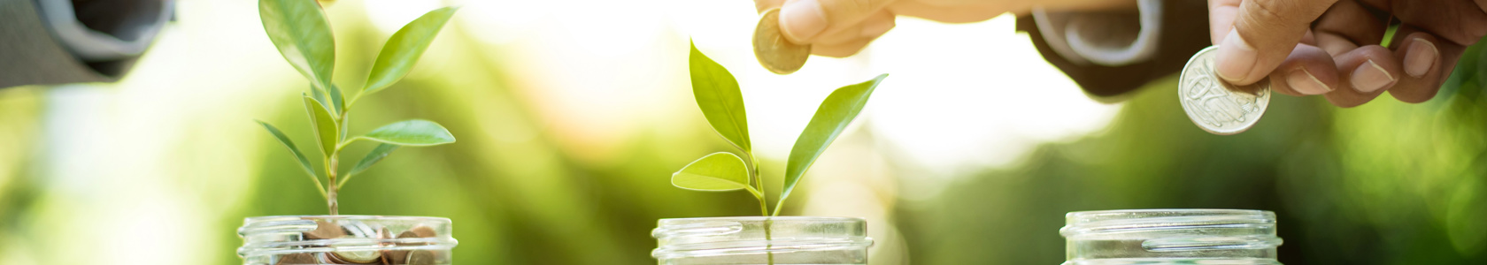 Jars filled with coins growing plants out of them