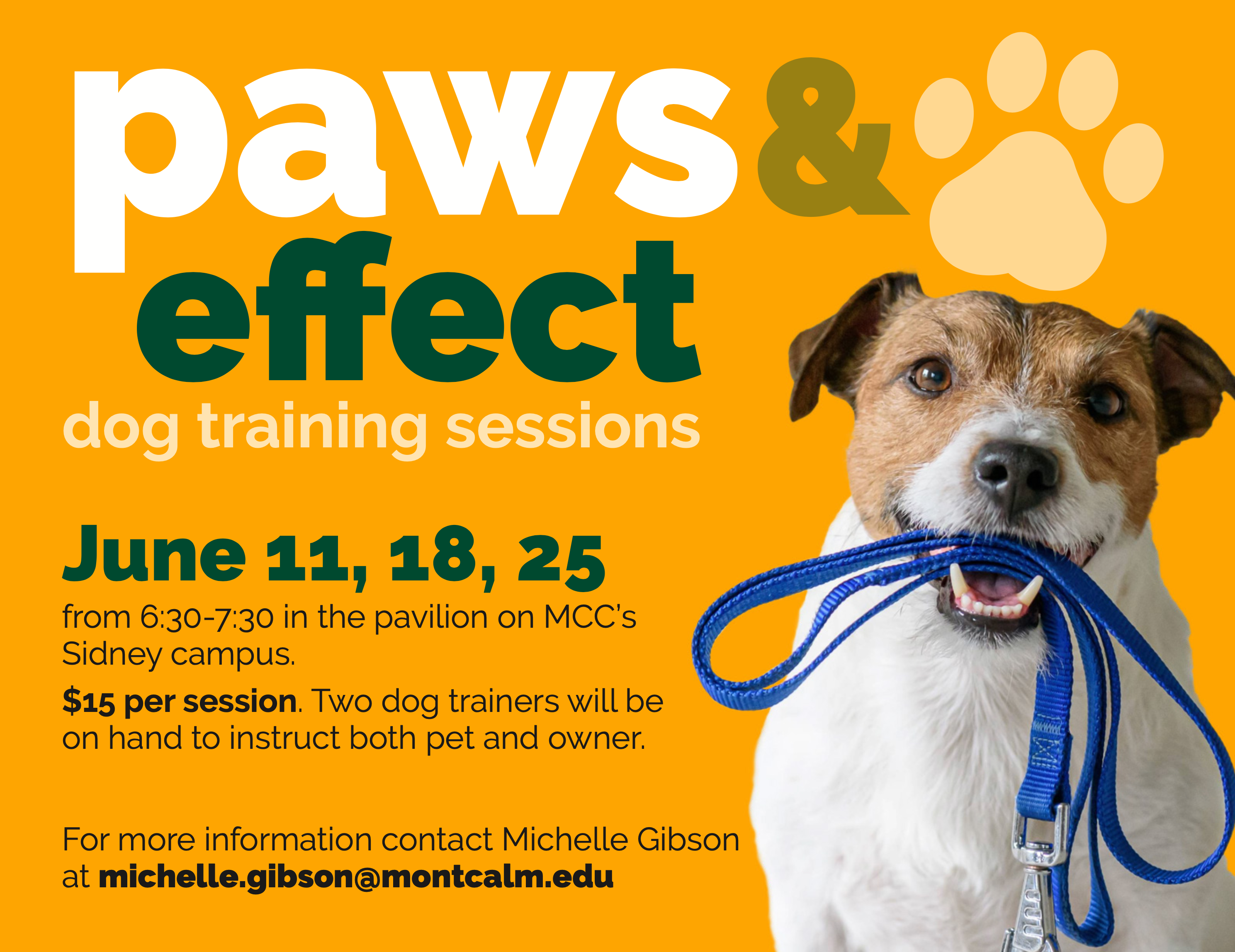 Image of dog holding a leash with headline: Paws & Effect Dog Training Workshops.